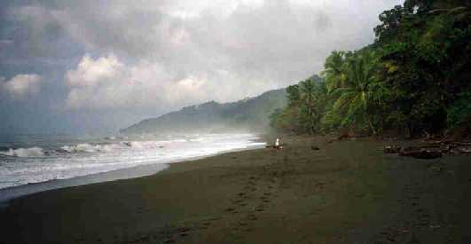 Corcovado, Beach