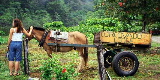 Corcovado: Ariana, Horse & Cart