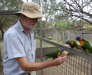 Dad feeding the birds