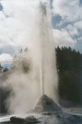 Lady Knox Geyser