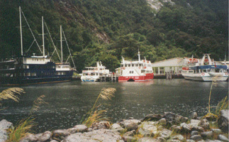 Milford Harbour