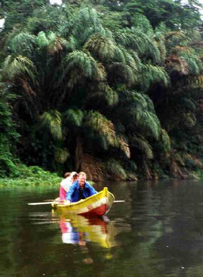 Tortuguero by canoe