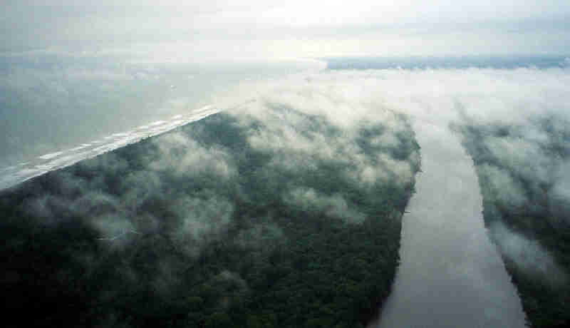 Tortuguero River