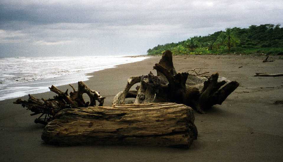 Totuguero, Carribean Coast