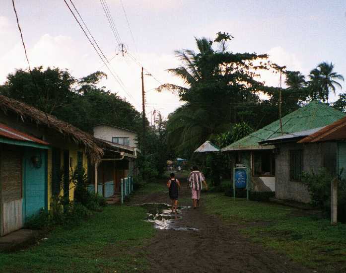 Tortuguero Village