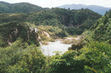 Waimangu