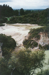 Wai o Tapu thermal area